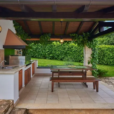 Sujevic موتوفون